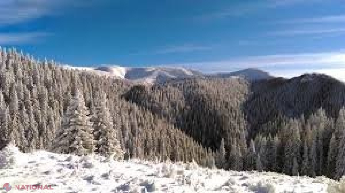 VIDEO // Adevărul DRAMATIC din spatele imaginilor care au impresionat aproape 18 milioane de oameni în toată lumea