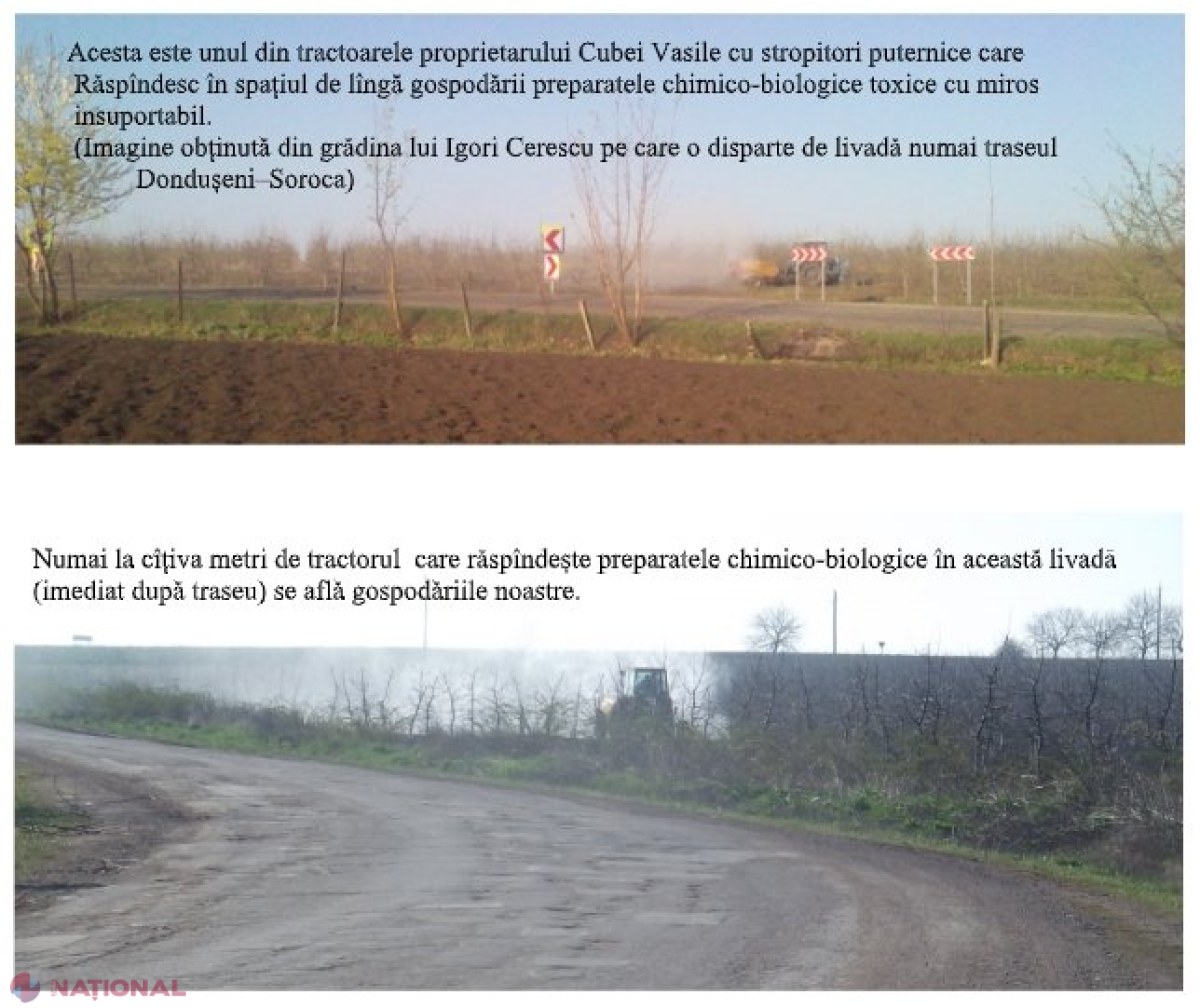 SCANDAL într-un sat din Dondușeni: Localnicii acuză proprietarii unei livezi că-i „otrăvește” și le omoară albinele. Ce spun autoritățile
