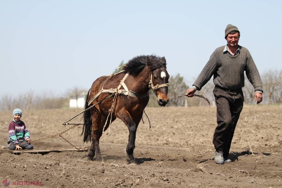 Câți cetățeni din R. Moldova lucrează FĂRĂ contracte de muncă: Domeniile cel mai mult afectate de fenomenul muncii „la negru”