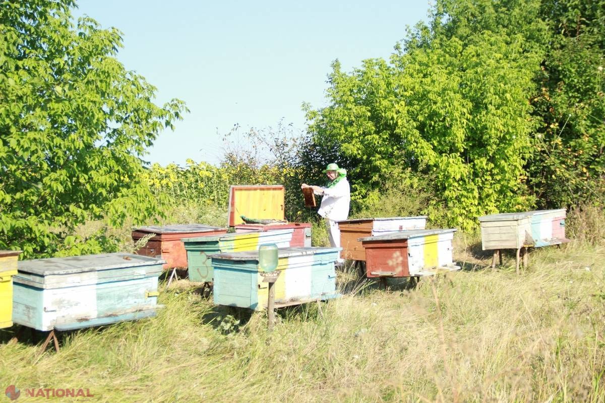 UE ÎNCURAJEAZĂ fermierii moldoveni să creeze grupuri de producători