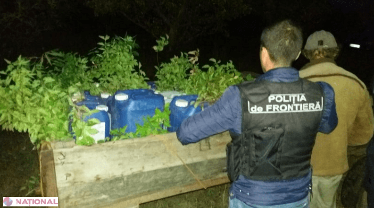 Cu căruța ticsită, din R. Moldova - ILEGAL în Ucraina: Ce transporta căruțașul