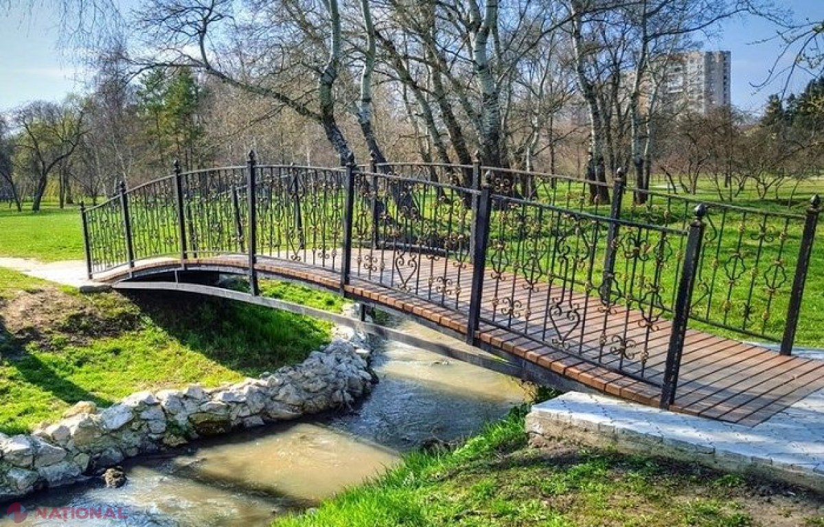 DECIS // Fără blocuri de locuit sau complexe comerciale pe teritoriul spațiilor verzi din R. Moldova 