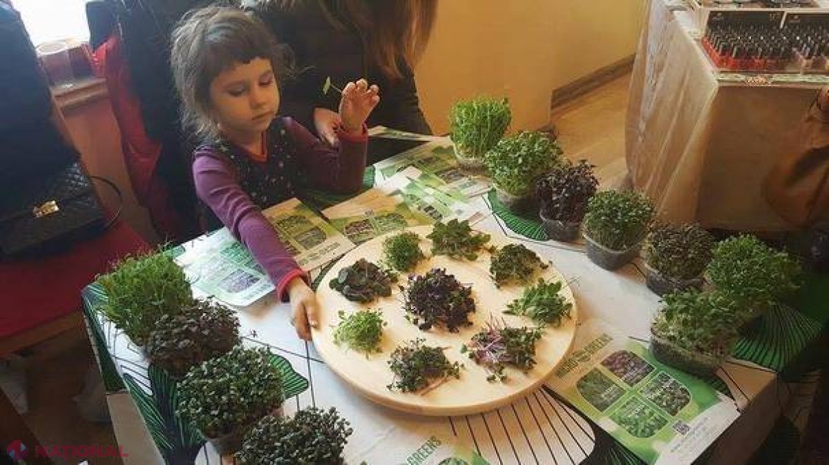 GALERIE FOTO // Afacere începută în balcon: plante comestibile pentru marile restaurante