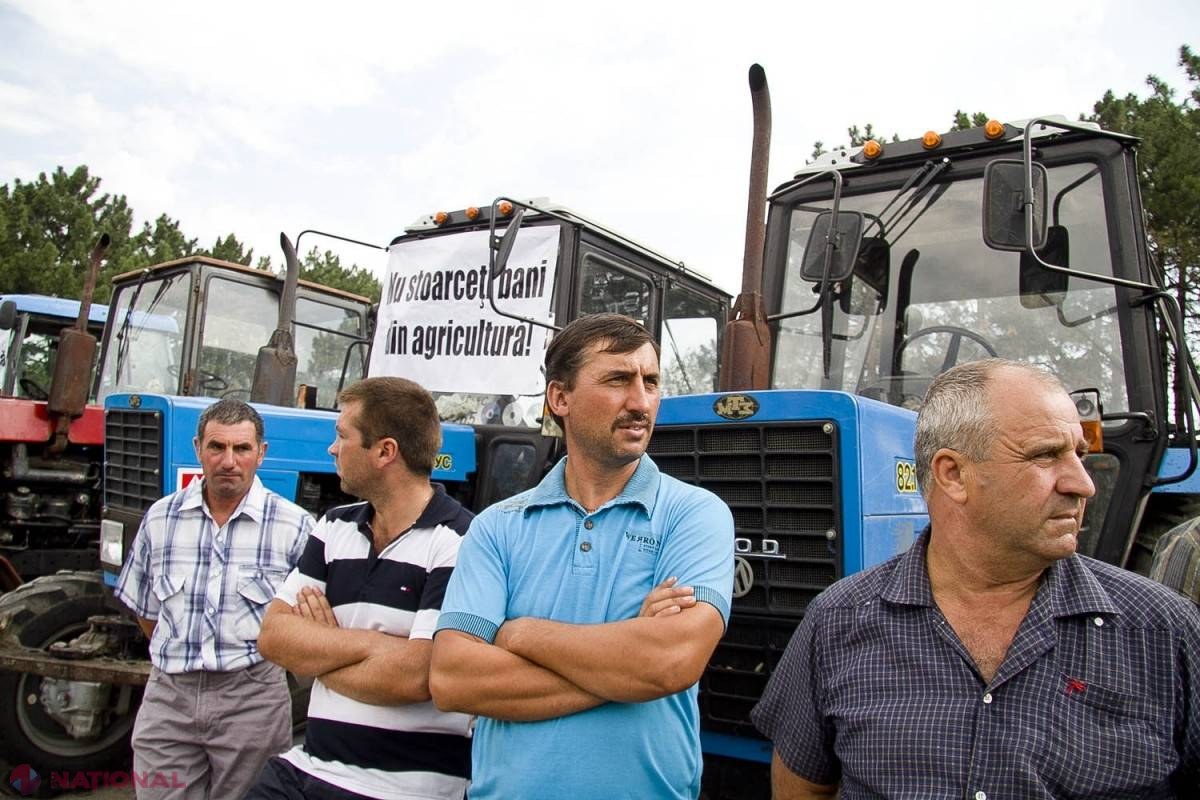Fermierii din Căușeni susțin că „le-a ajuns cuțitul la os” și înaintează un ULTIMATUM autorităților