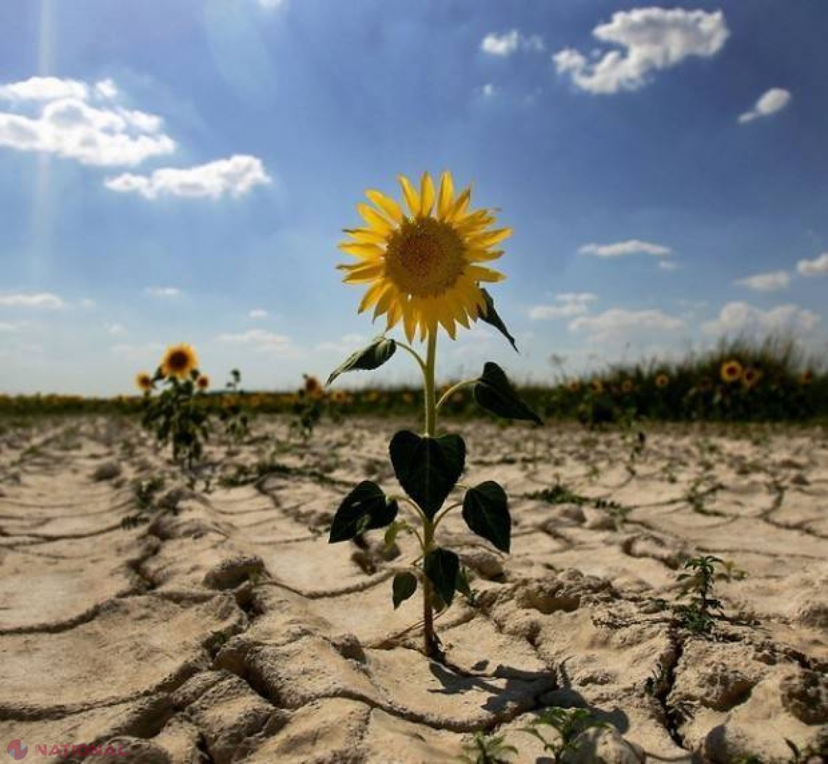 Meteorologii fac prognoze SUMBRE. Ce se va întâmpla în Chișinău, Strășeni și alte regiuni