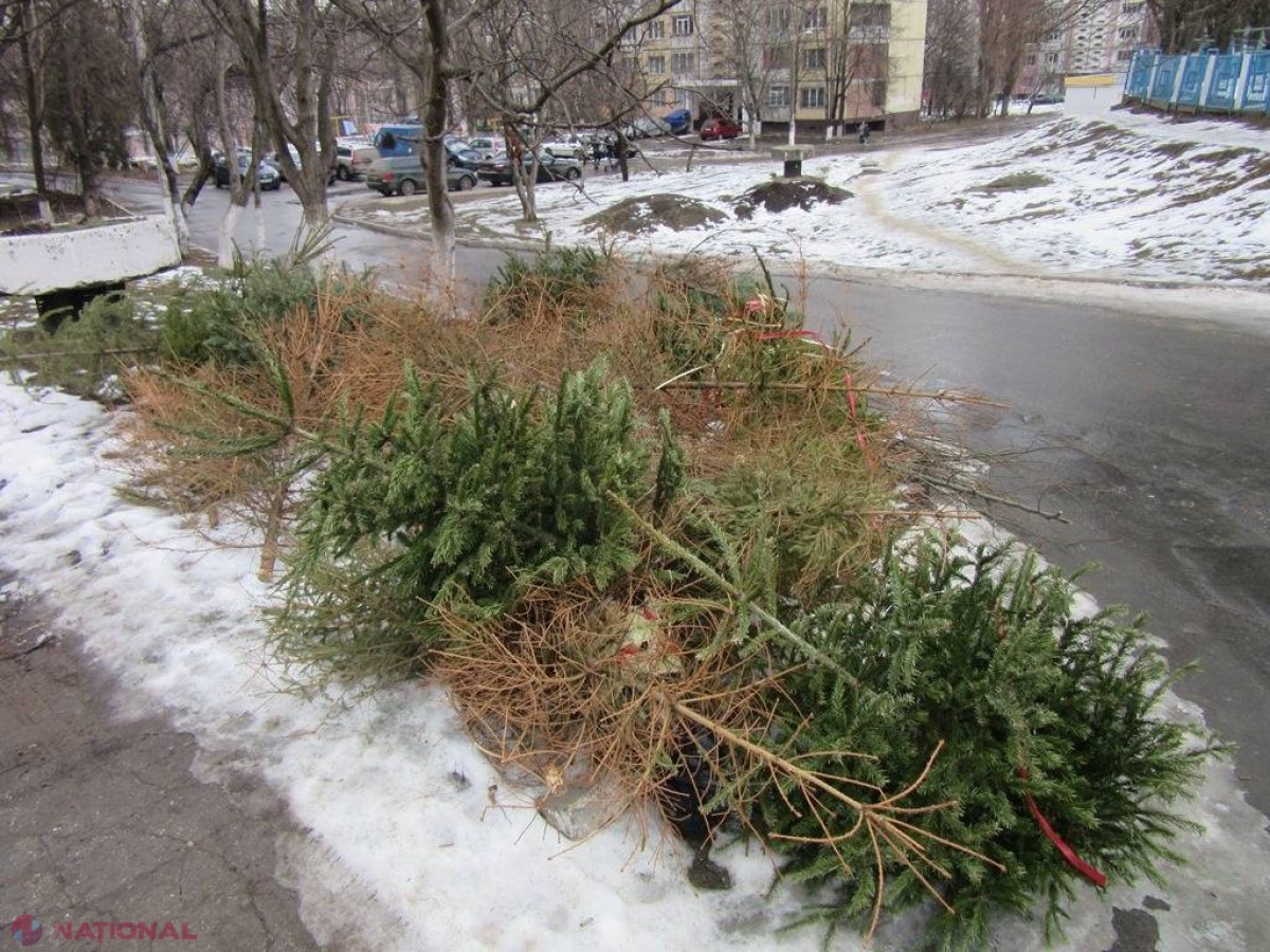 Primăria Chișinău strânge BRAZII care au împodobit casele locuitorilor capitalei de sărbători. Ce intenționează să facă