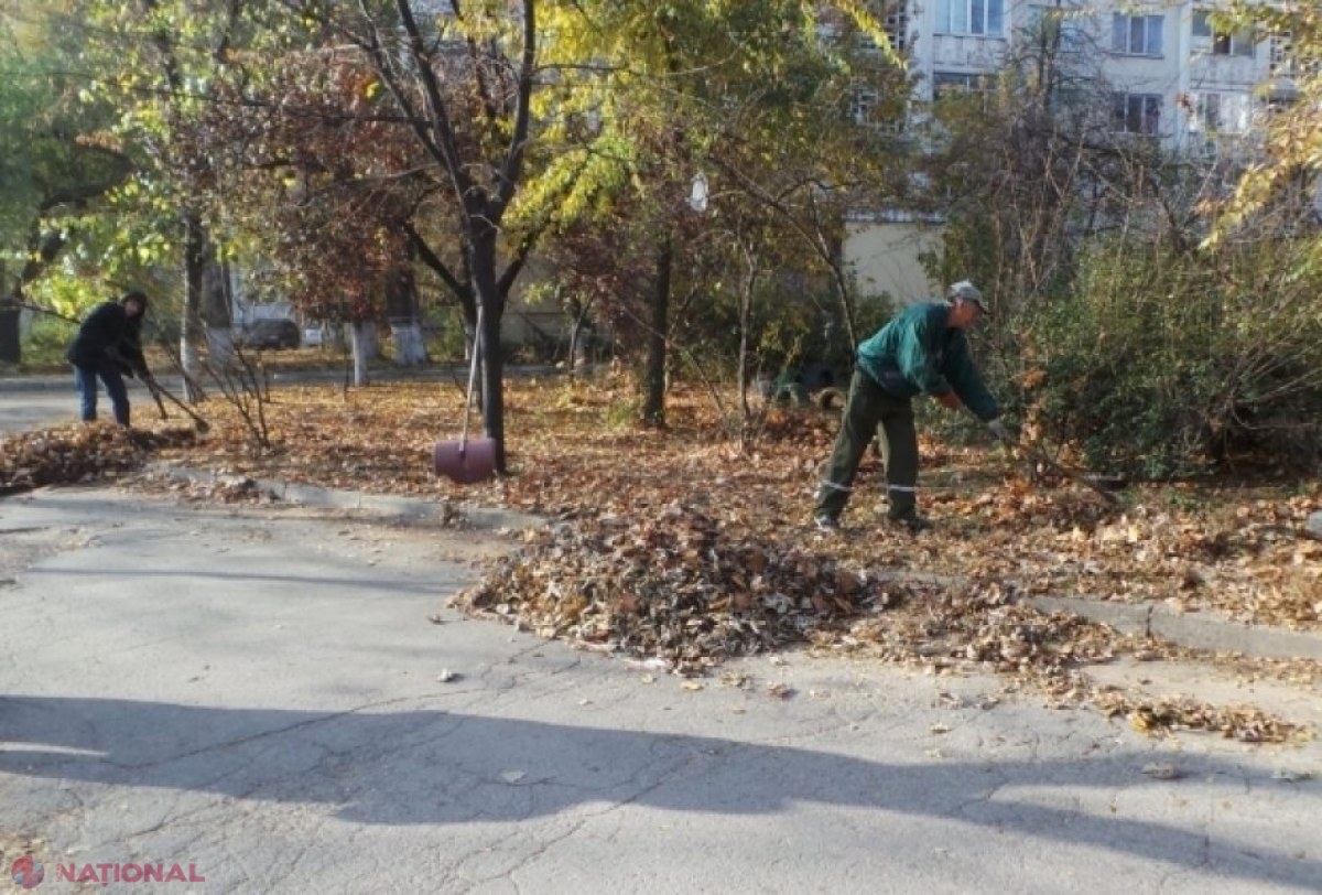 IMPORTANT! Cetățenii și agenții economici care nu curăță terenurile pe care le au în gestiune riscă AMENZI de până la 9 000 de lei
