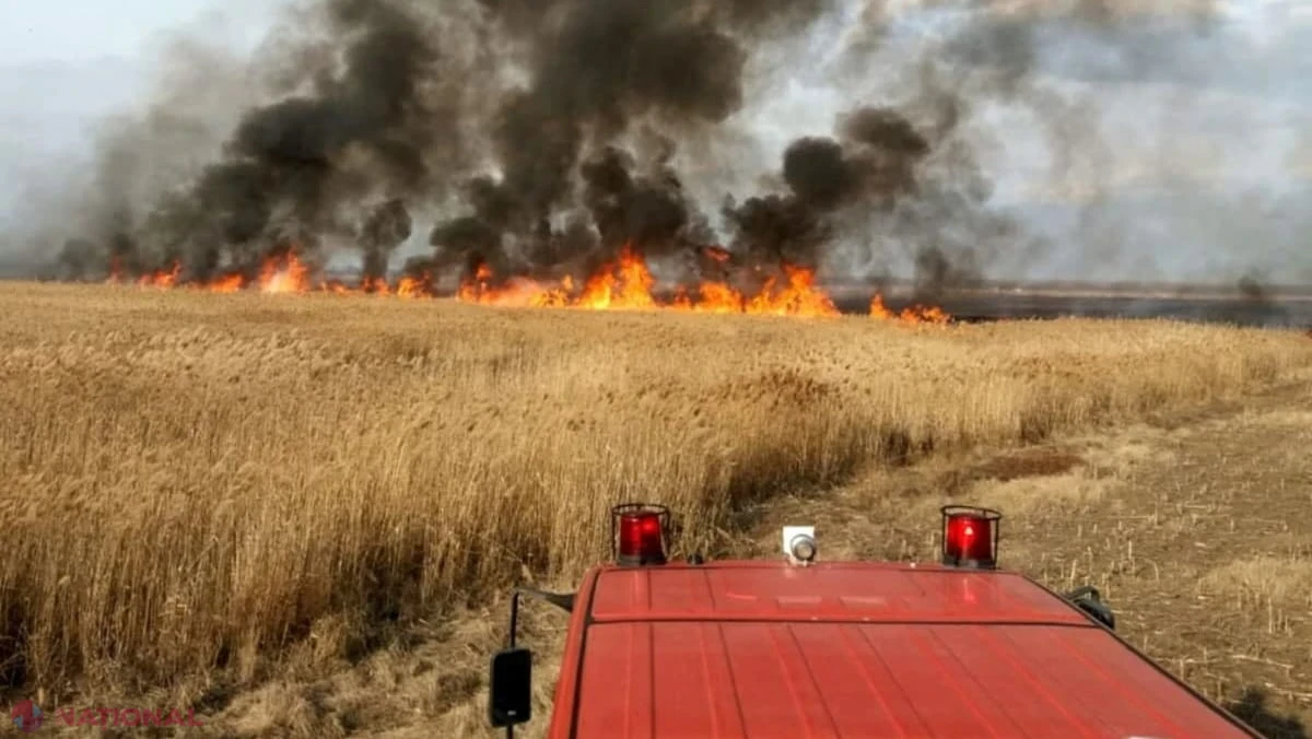 ULTIMA ORĂ // O nouă dronă căzută în R. Moldova a provocat un INCENDIU la Rîșcani. Patru focare de foc într-un lan de floarea-soarelui!