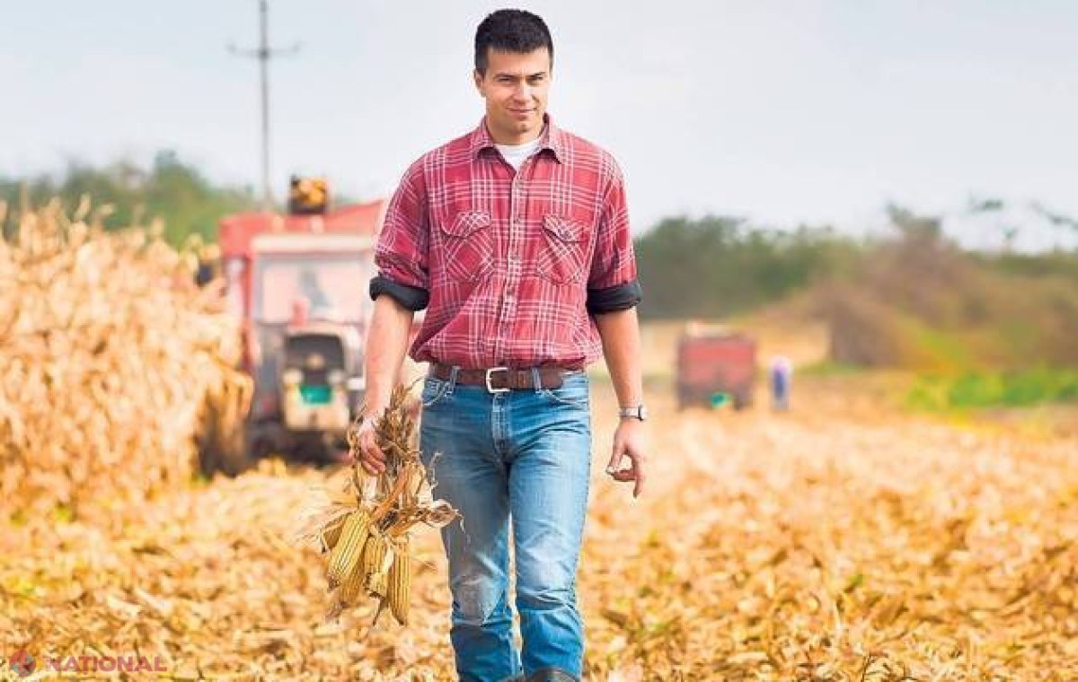 Veste bună! Se dă pământ gratuit dacă vrei să începi o afacere în domeniul agricol  