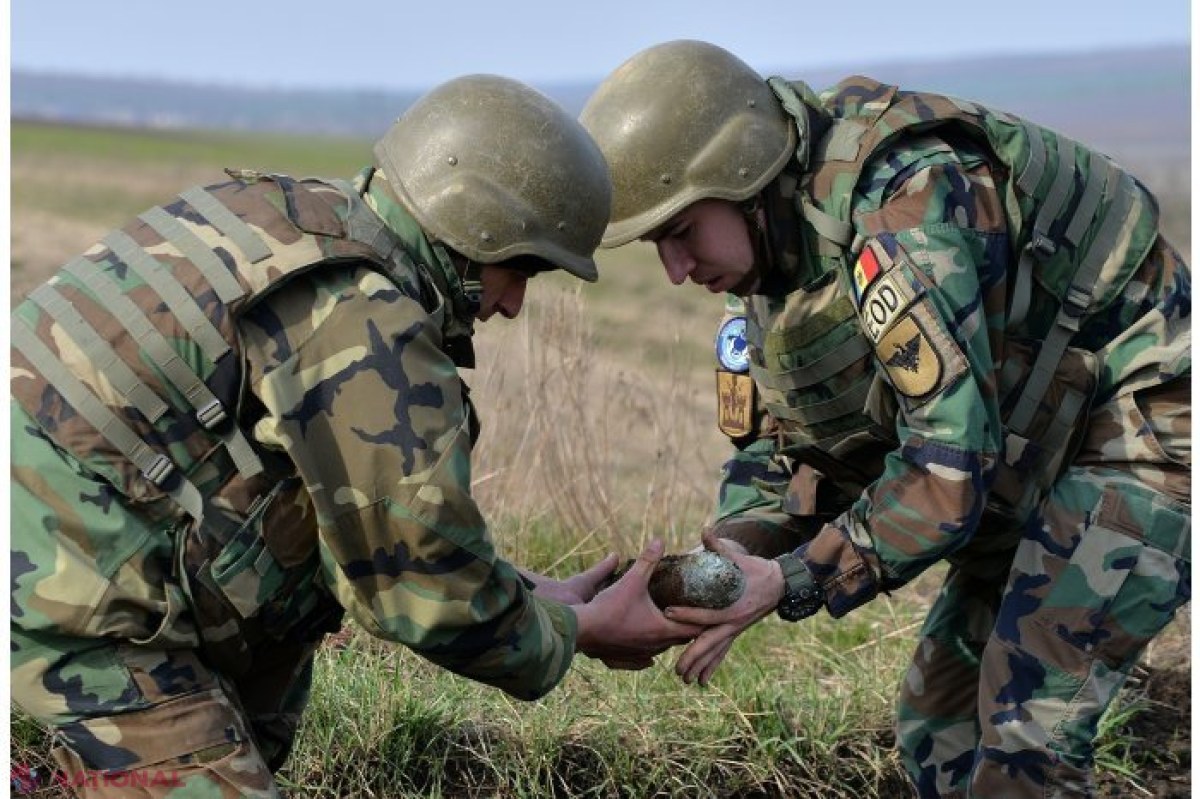 Misiune PERICULOASĂ de deminare executată la Șerpeni. Optsprezece grenade de mână, un proiectil de artilerie și o bombă de aruncător din perioada celui de-al Doilea Război Mondial au fost NEUTRALIZATE