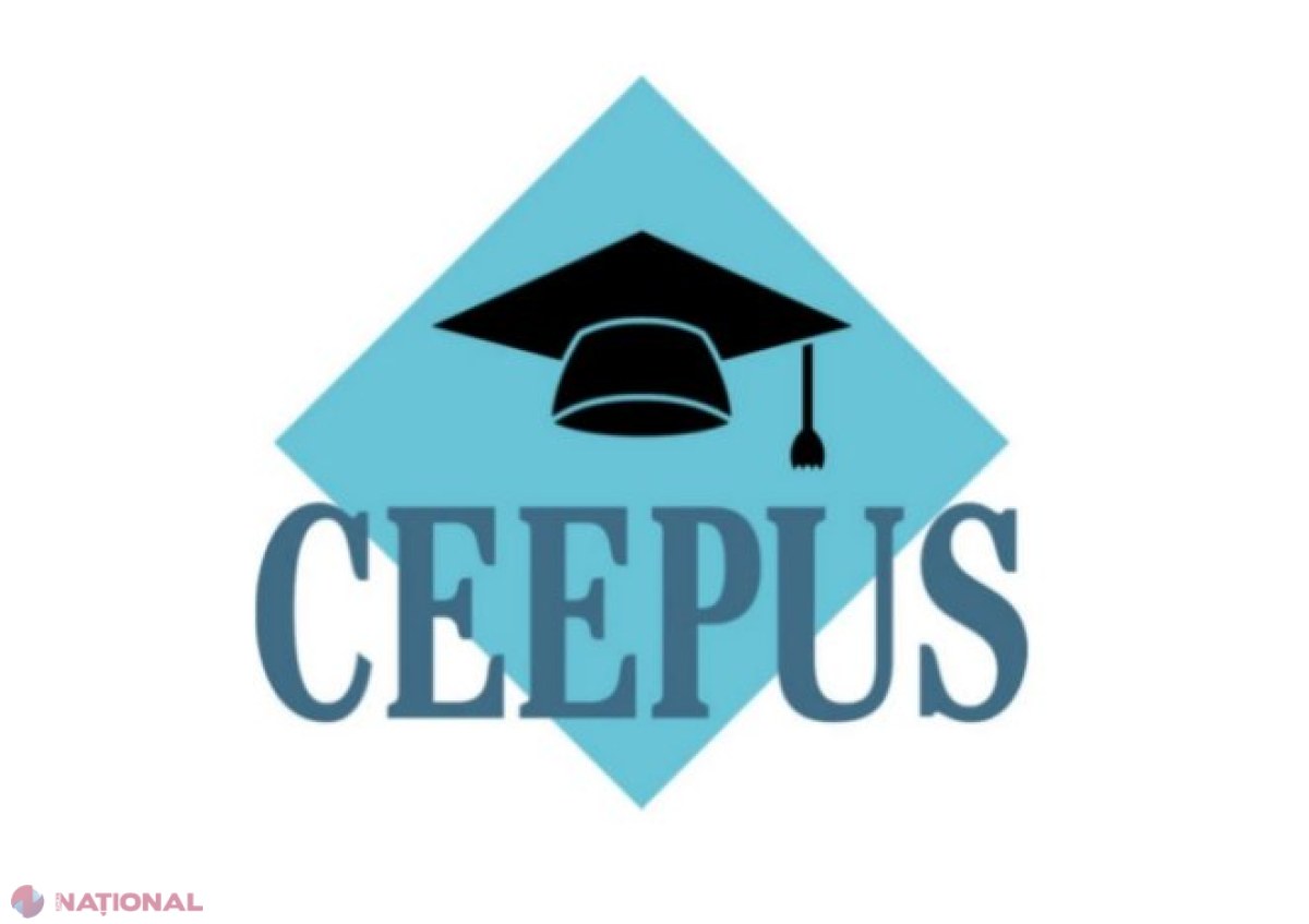 PROGRAM // Studenții și profesorii din R. Moldova, burse în statele din Europa Centrală