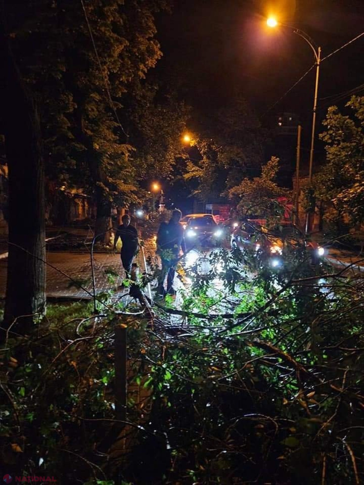 GALERIE FOTO // Furtuna de noaptea trecută a făcut ravagii în Chișinău - mai mulți copaci au fost rupți sau SMULȘI din rădăcină, mașini avariate, garduri doborâte și fire electrice căzute la pământ