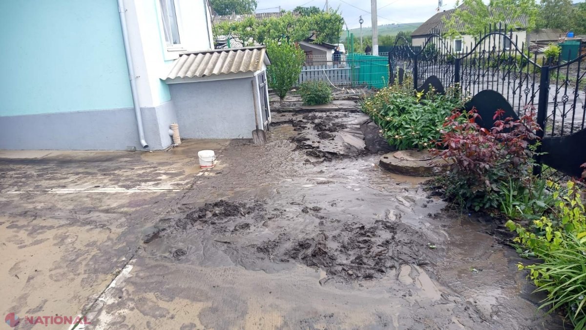 Ploile din ultimele zile au inundat gospodării, blocuri de locuit, beciuri, garaje, o policlinică, a înnămolit drumuri și a doborât copaci: Localitățile afectate
