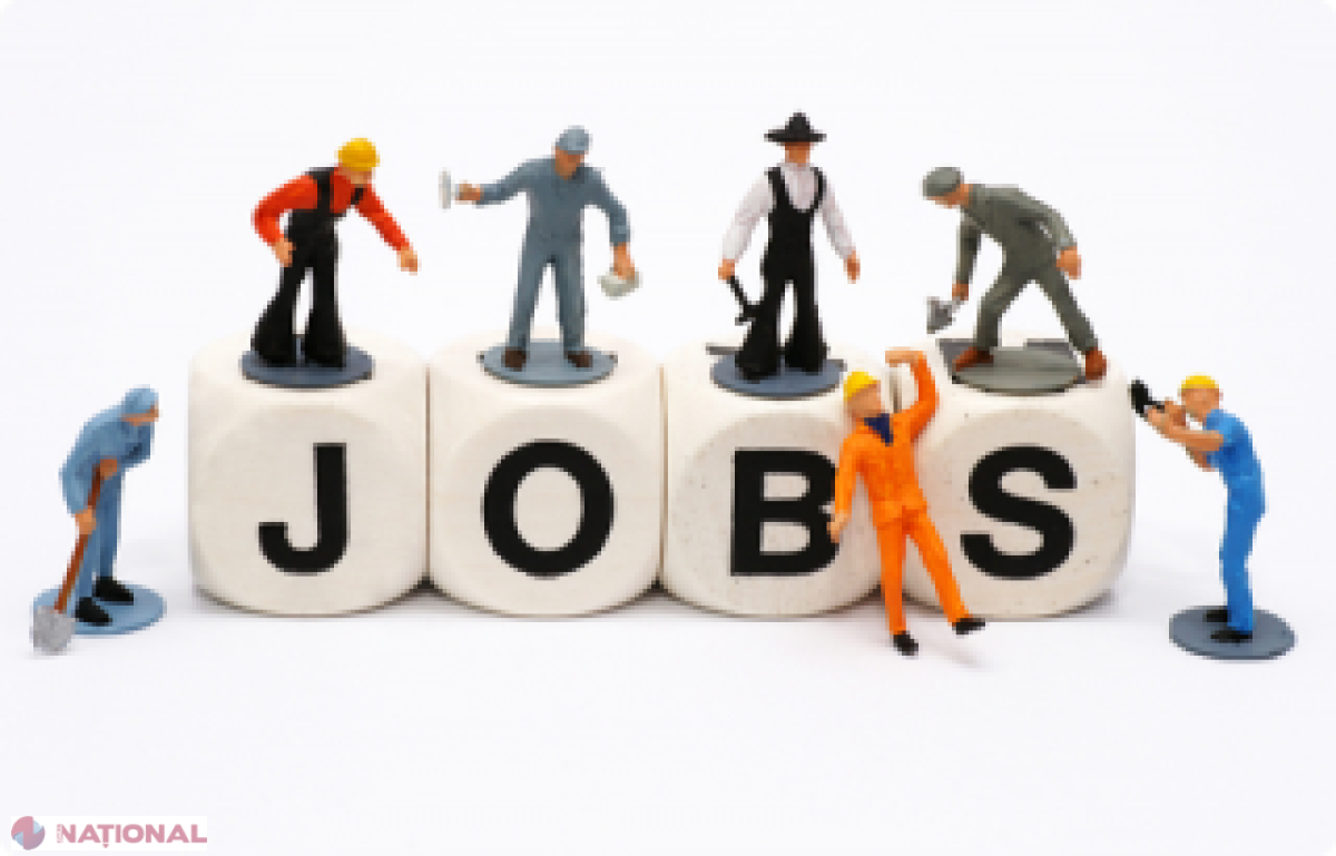 MII de locuri de muncă VACANTE în R. Moldova. Unde există cea mai MARE CERERE