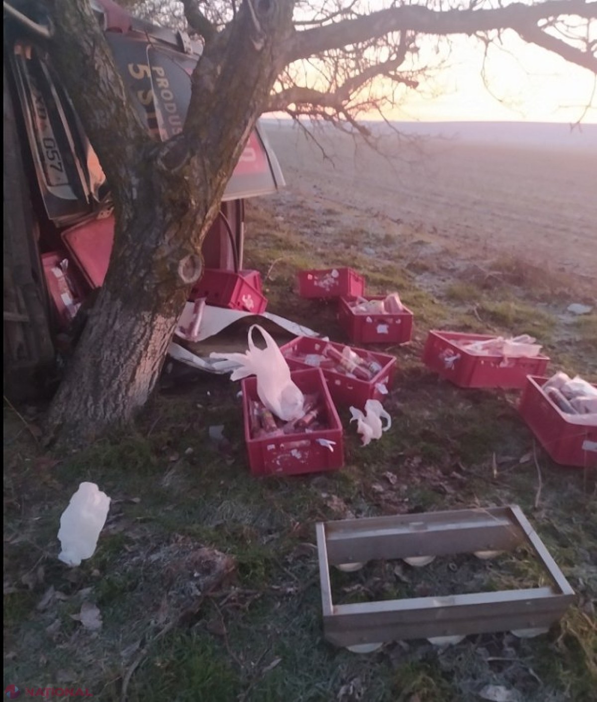 FOTO // Salam împrăștiat pe marginea drumului: O mașină a unei fabrici de mezeluri, implicată într-un accident rutier