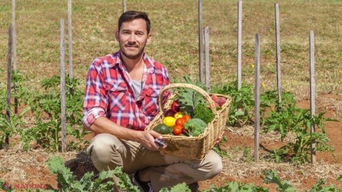 UTIL // TOP 10 cele mai profitabile CULTURI AGRICOLE PE SUPRAFEȚE MICI în 2017