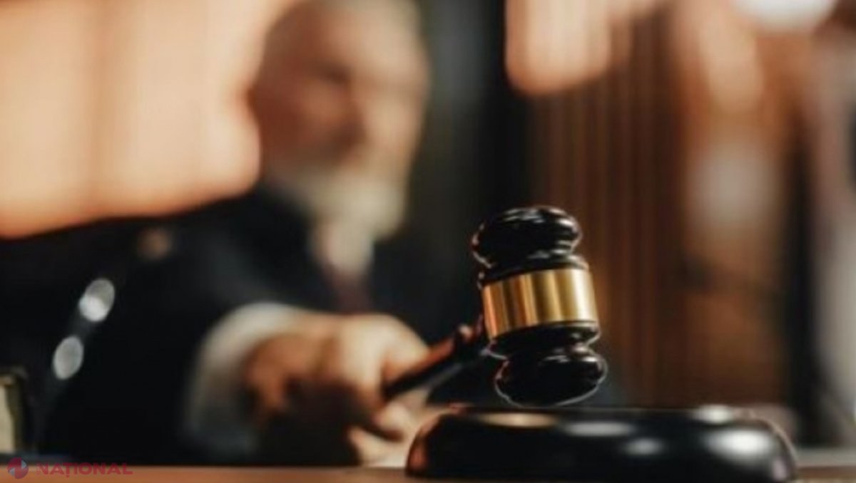 Cât costa acum cinci-șase ani o funcție de pădurar în R. Moldova: Între 8 000 și 10 000 de euro! Cu ce pedeapsă s-a ales ,,vânzătorul
