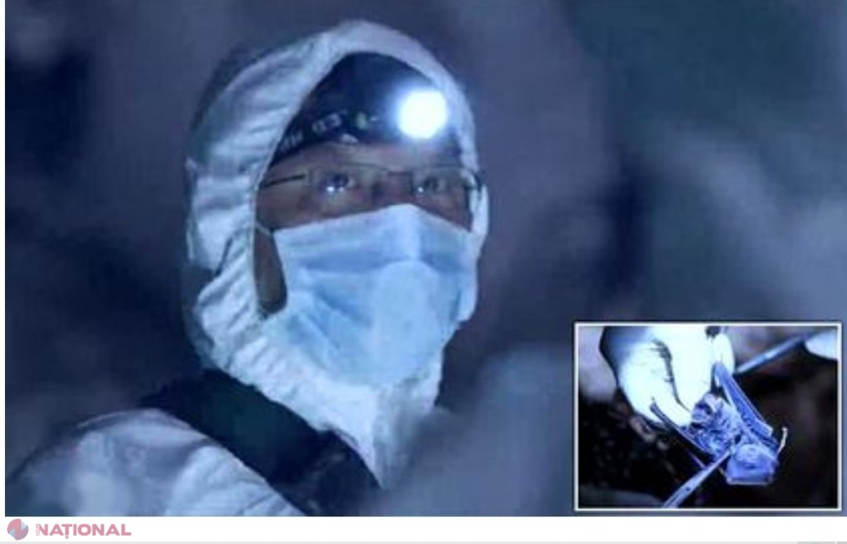 VIDEO // Un VIRUSOLOG din Wuhan captura lilieci pentru a studia virușii necunoscuți. PRIMA infecție umană cu COVID -19 s-ar fi produs într-un laborator