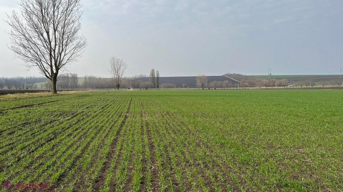 Agricultorii din R. Moldova pot solicita subvenții de până la 800 de mii de lei pentru proiecte de îmbunătățire a solului
