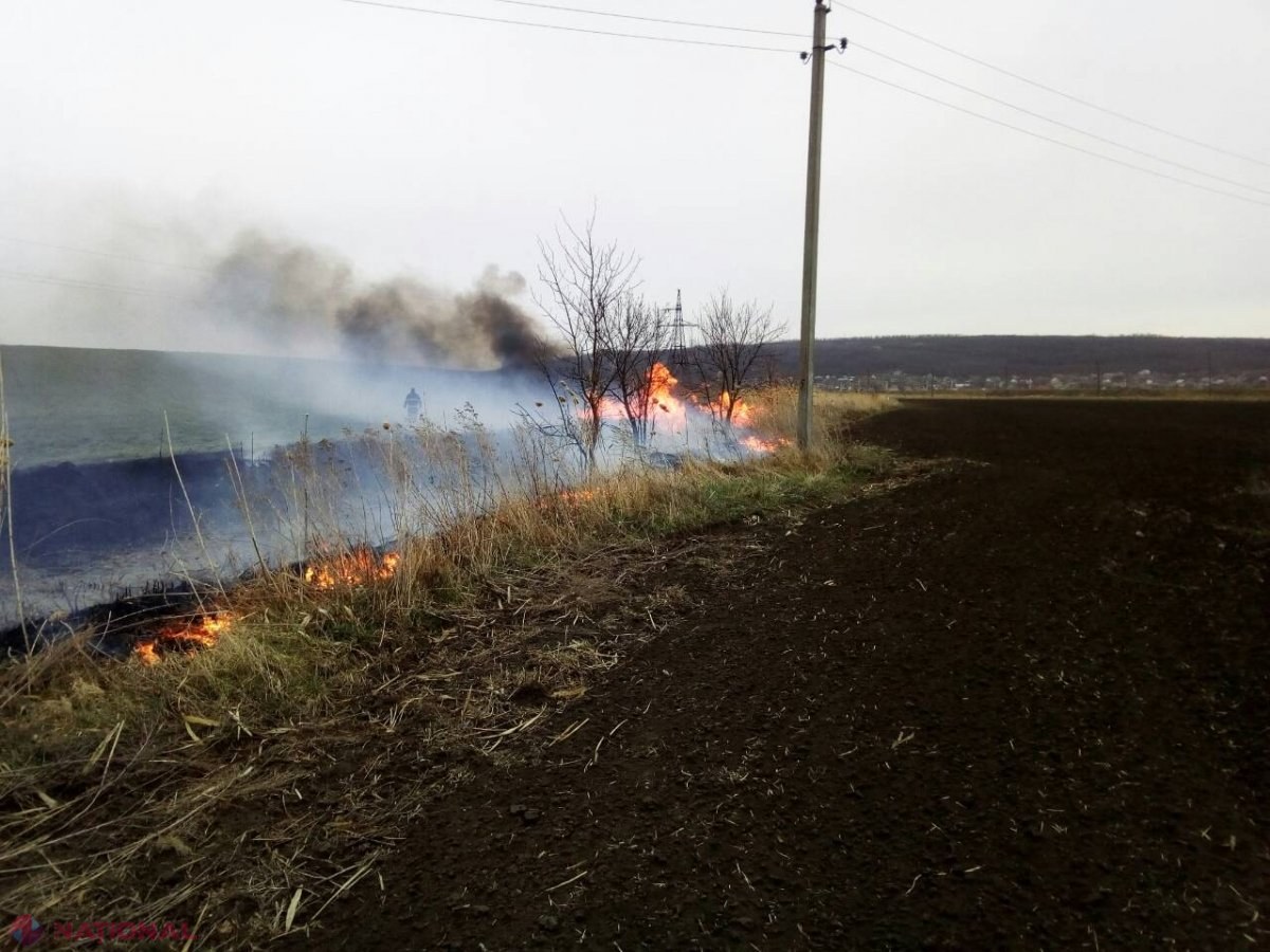 VIDEO // ZECI de INCENDII, zilnic în R. Moldova: Aproape 4 000 de hectare de pământ afectate de la începutul primăverii 