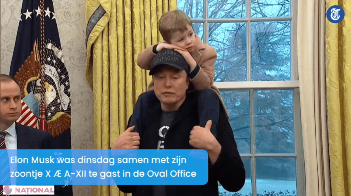 Musk și echipa sa de genii provoacă schimbări drastice: micuțul XÆ A-Xii prezent la anunțul reducerilor de personal în biroul lui Trump