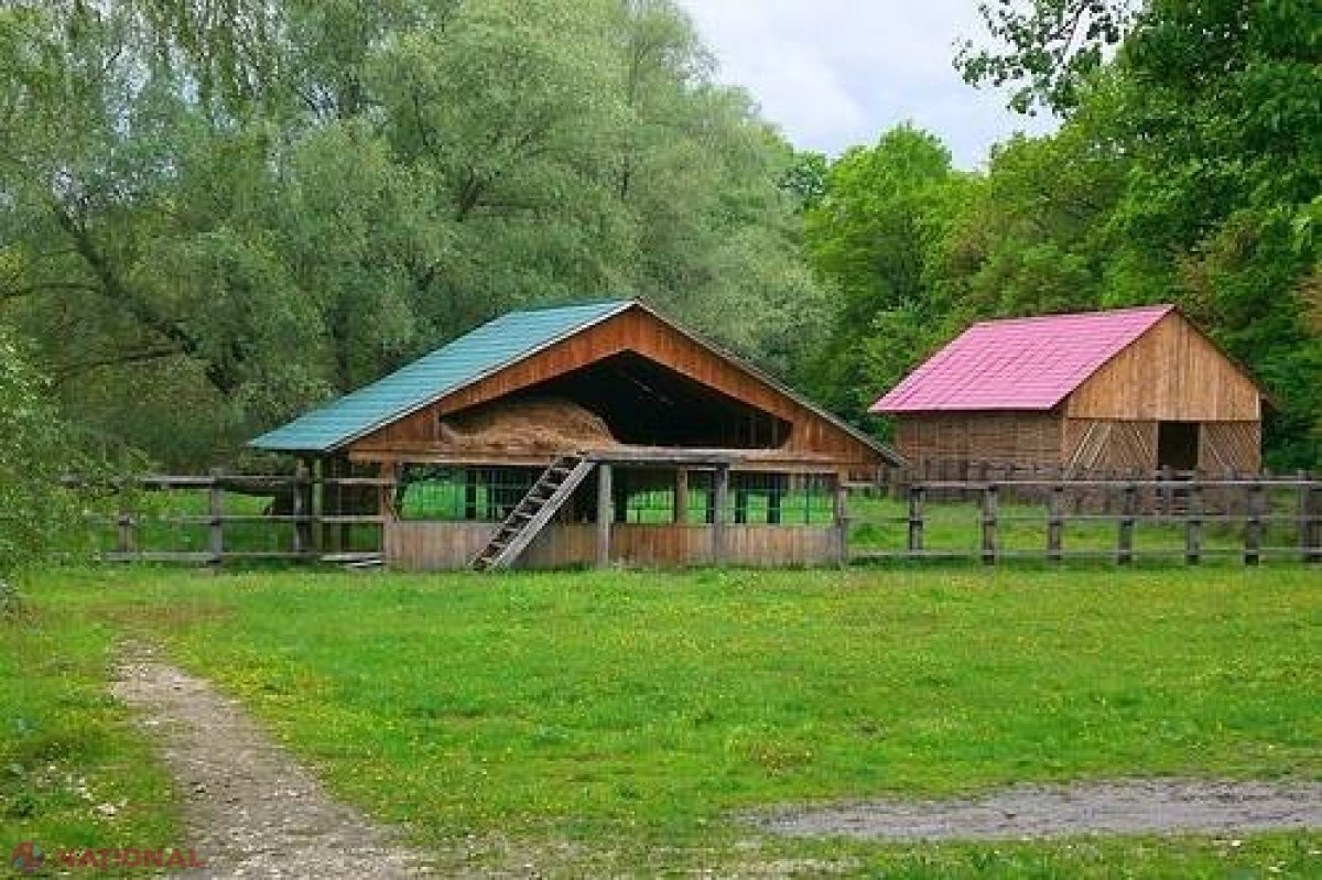 Investiţii de peste 11 milioane de lei în „Pădurea Domnească”