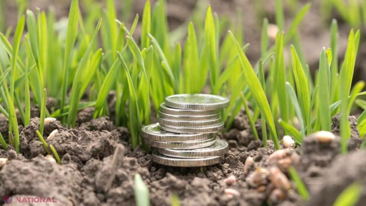 Generozitate fără precedent: Agricultorii sprijiniți cu peste 84 milioane lei de stat!