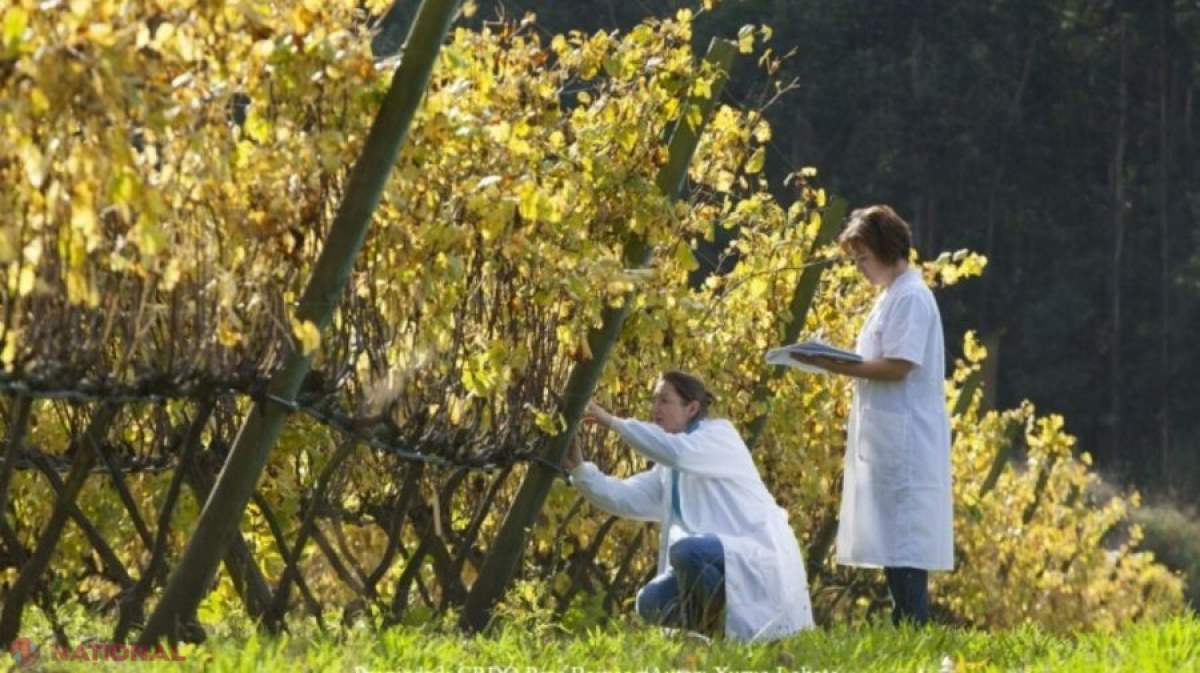 Ministerul Agriculturii învestește în viitorul educației agricole: milioane de euro pentru modernizarea școlilor din R. Moldova
