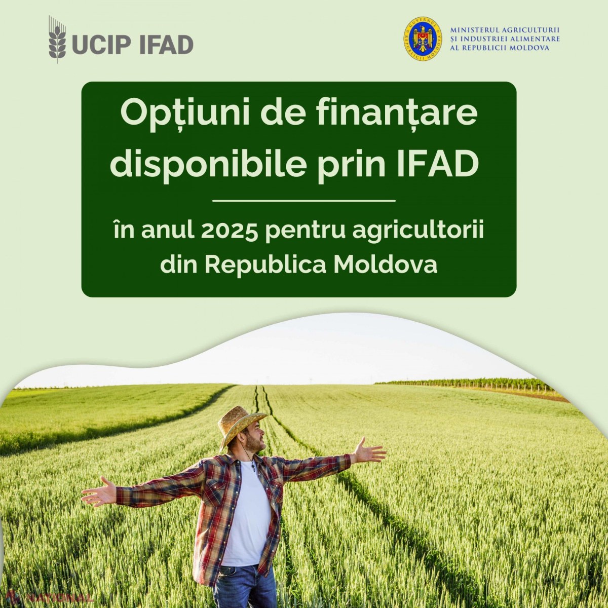 Oportunități de finanțare prin IFAD pentru agricultorii moldoveni în 2025: Sprijin financiar consistent pentru tineri, femei și infrastructură rurală