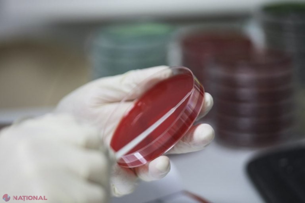 Descoperire revoluționară: Proteinele din sânge pot prezice boala hepatică cu 16 ani înainte de simptome