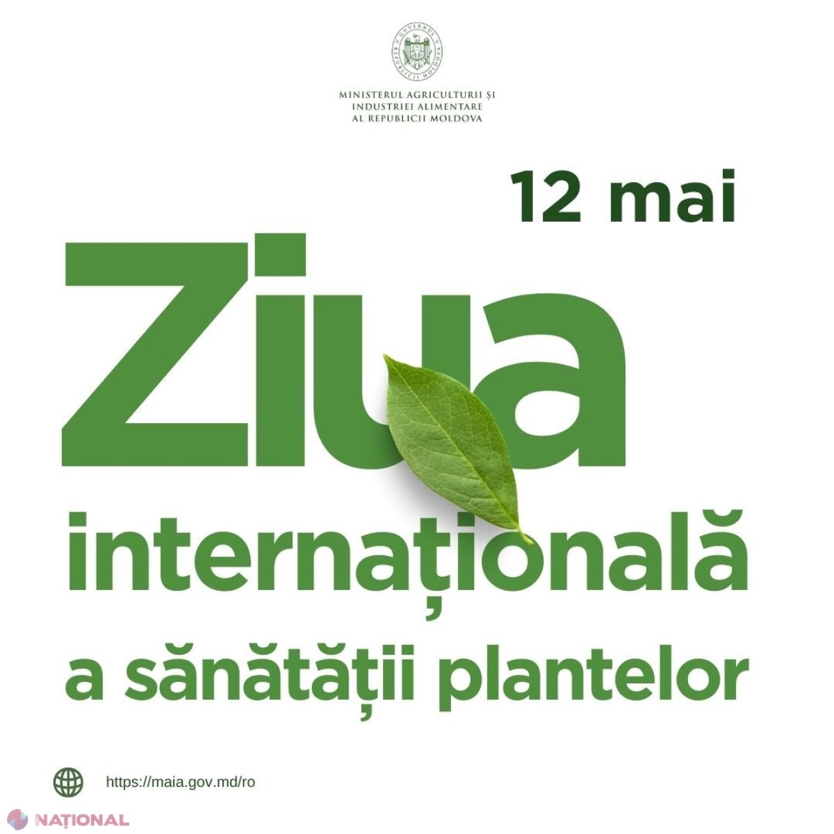 „O Singură Sănătate”: R. Moldova se mobilizează pentru protejarea sănătății plantelor la nivel global