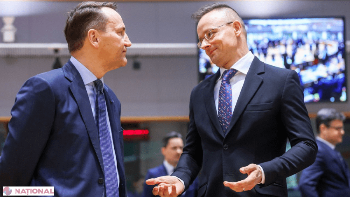 Tensiuni între Polonia și Ungaria la reuniunea NATO din Turcia pe fondul acuzațiilor de spionaj
