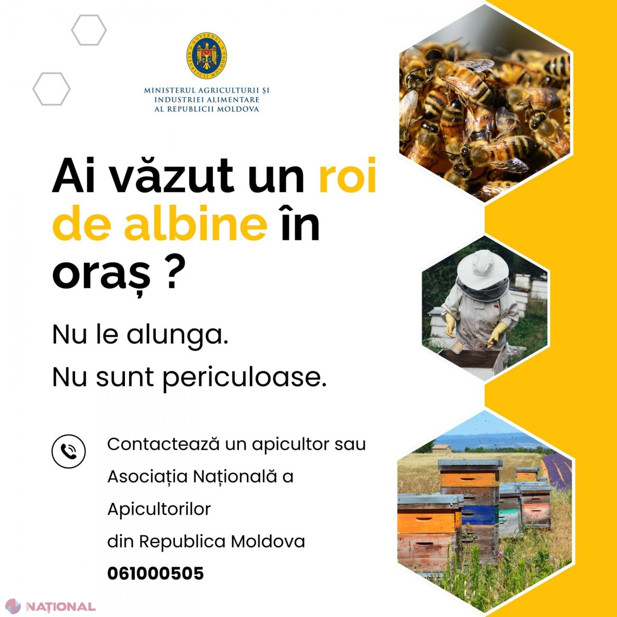 Evitați intervențiile asupra roiurilor de albine: Sfaturi utile pentru siguranța publică