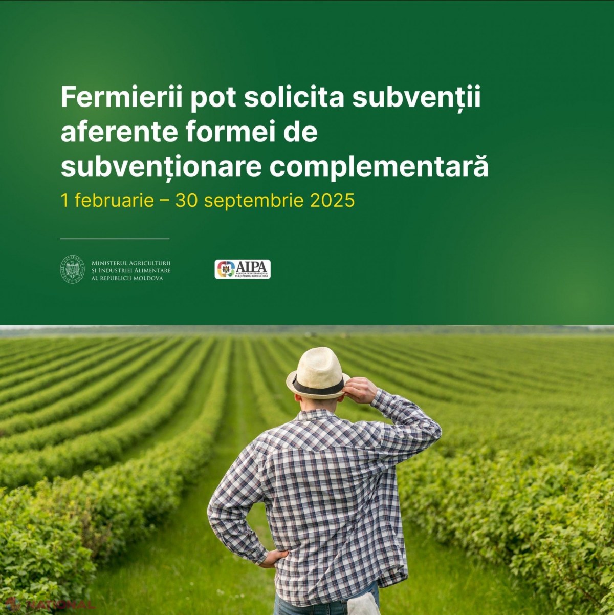Agricultorii moldoveni au cerut, de la începutul anului, subvenții în sumă de peste 120 de milioane de lei