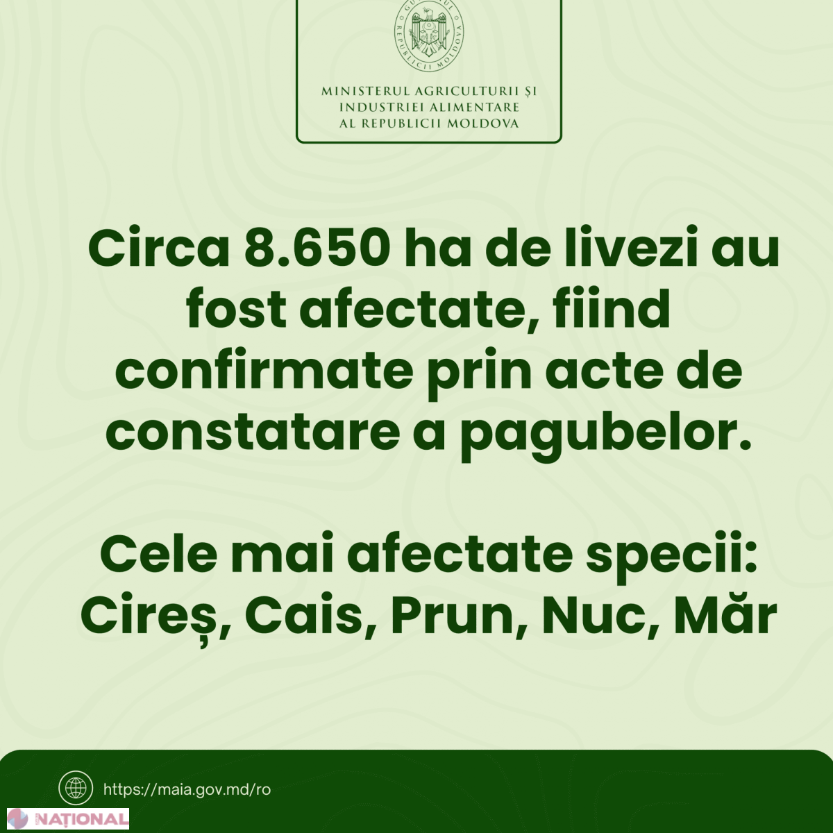 Culturi pomicole afectate sever de înghețurile de primăvară: estimări și măsuri de sprijin propuse de Ministerul Agriculturii