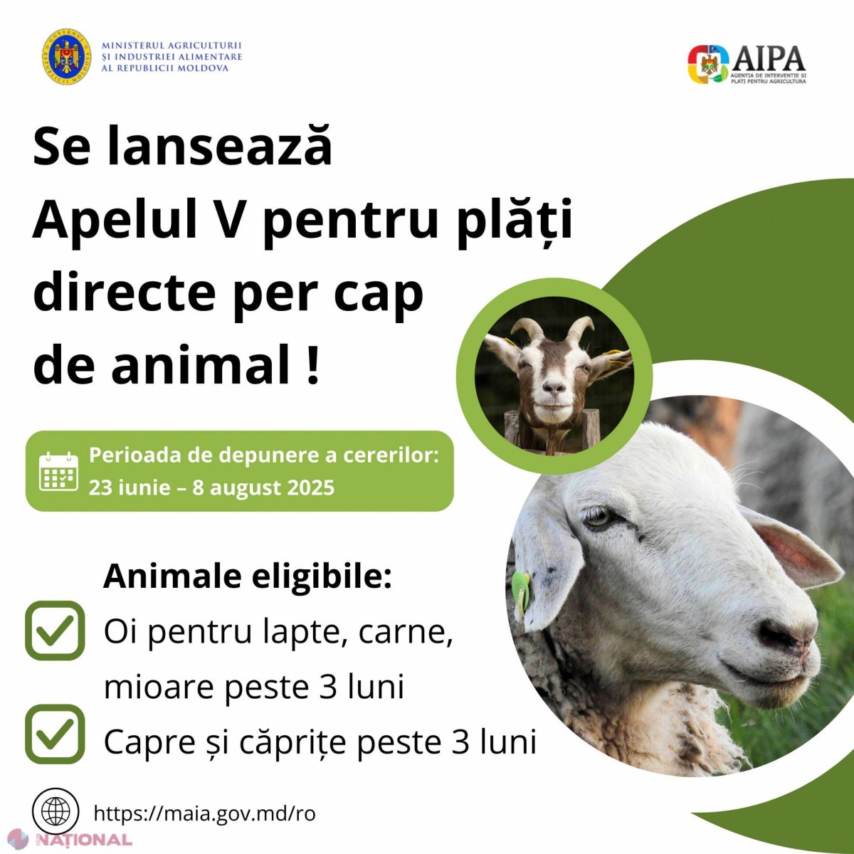 Plăți directe pentru crescătorii de oi și capre: Încep înscrierile pentru subvenții!