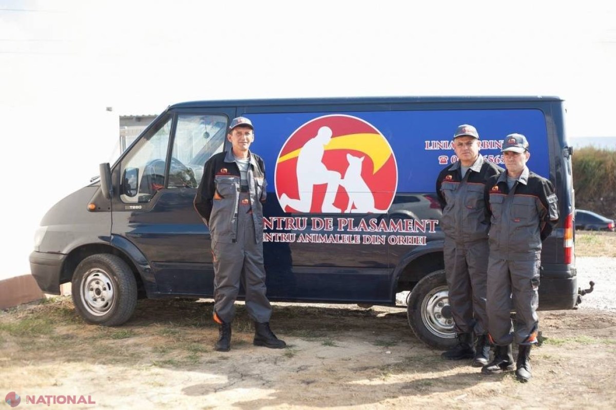 FOTO // Premieră în R. Moldova. Câinii fără stăpân din Orhei vor avea de astăzi un adăpost