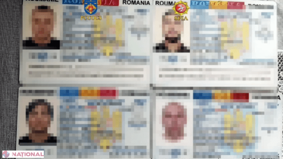 Rețea de falsificatori de acte eliminată la Bălți: Permise de conducere românești și cărți de identitate vândute pe sume de până la 350 euro