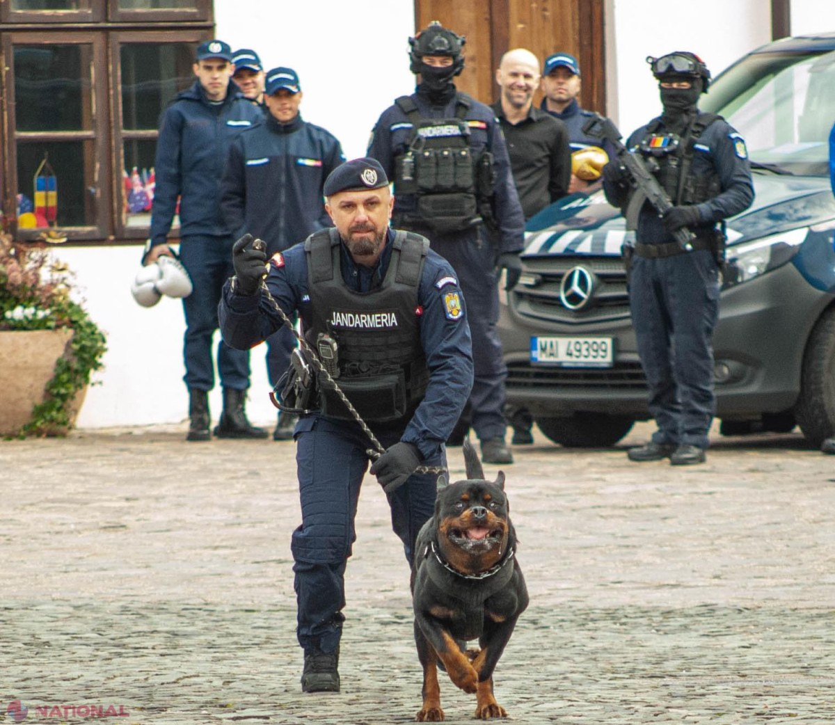 Eroare de identitate: „Pantera misterioasă semnalată în România era de fapt un câine mare, spun experții bulgari”
