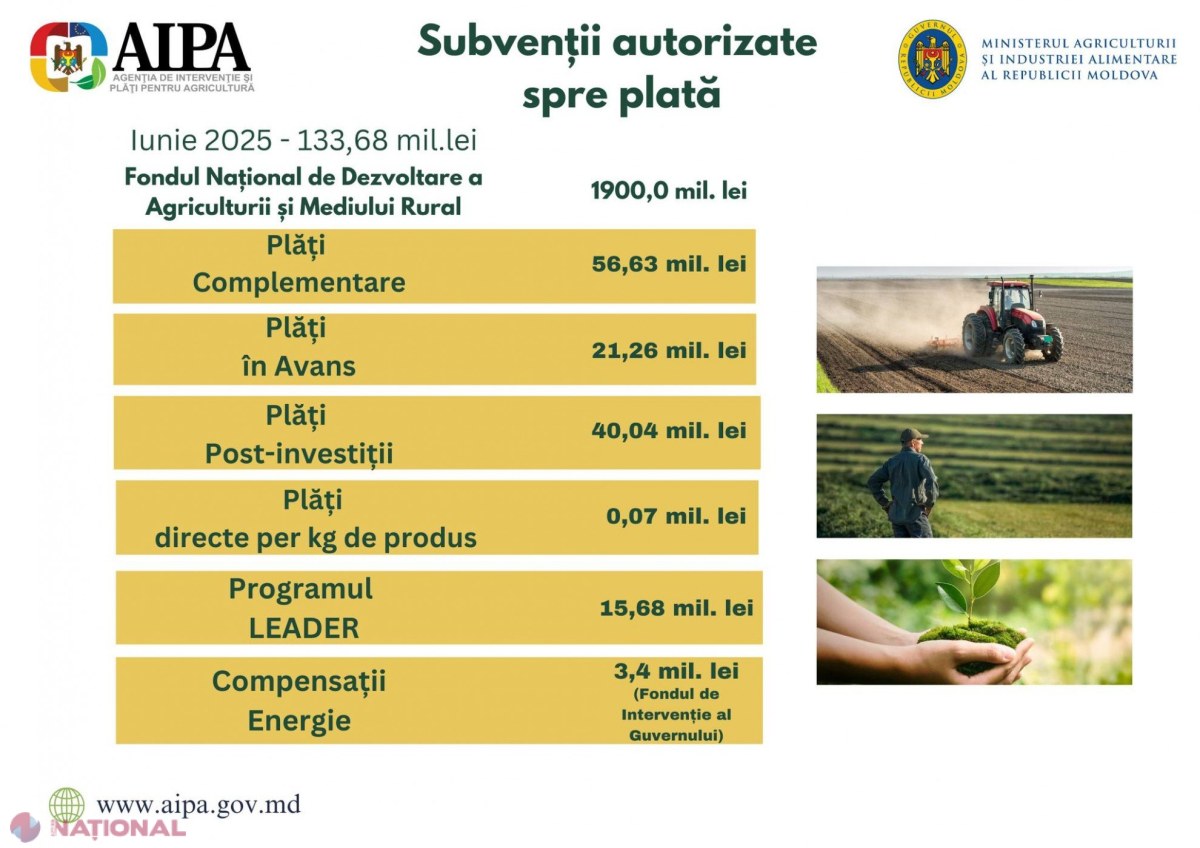 Fonduri substanțiale pentru agricultură: Peste 133 milioane de lei alocate în iunie pentru subvenții și investiții rurale în Republica Moldova
