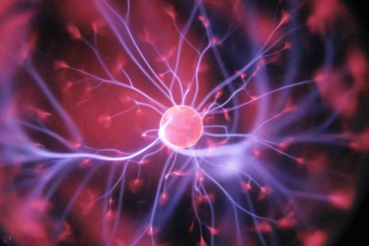 Noi descoperiri: Creierul adulților produce neuroni noi, schimbând perspectiva asupra învățării continue și recuperării cognitive