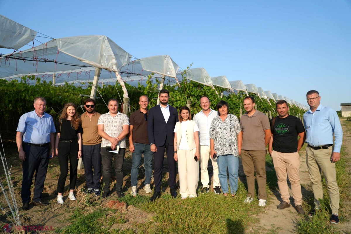 Miniștrii Agriculturii și Energiei împreună cu fermierii: Soluții pentru forța de muncă, irigare și energie verde în agricultură