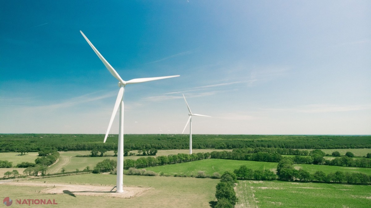 Calendarul licitațiilor pentru producătorii mari de energie regenerabilă în 2025-2026, aprobat de Guvern