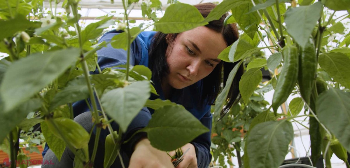 Admiterea la universități și colegii încurajează tinerii să aleagă specializările agricole în plină dezvoltare