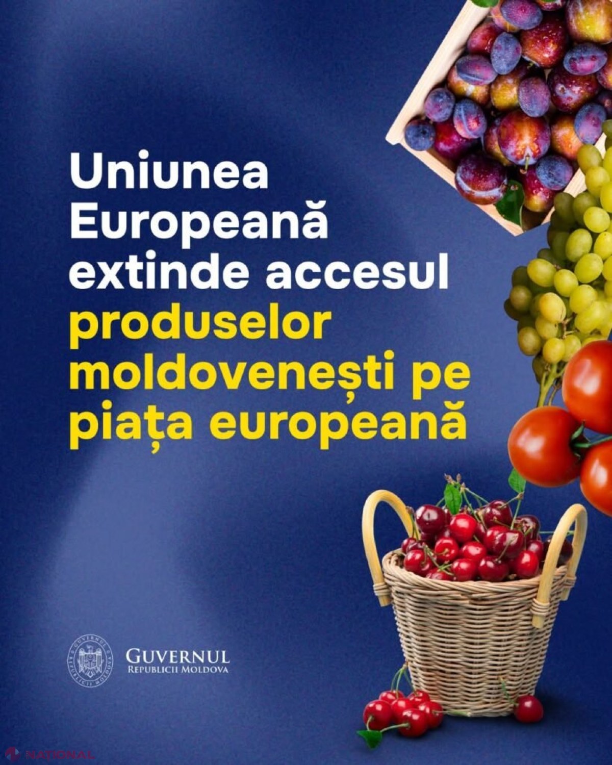 Exporturile de fructe ale Republicii Moldova către UE se amplifică: cote mai mari pentru cireșe, prune, mere și struguri