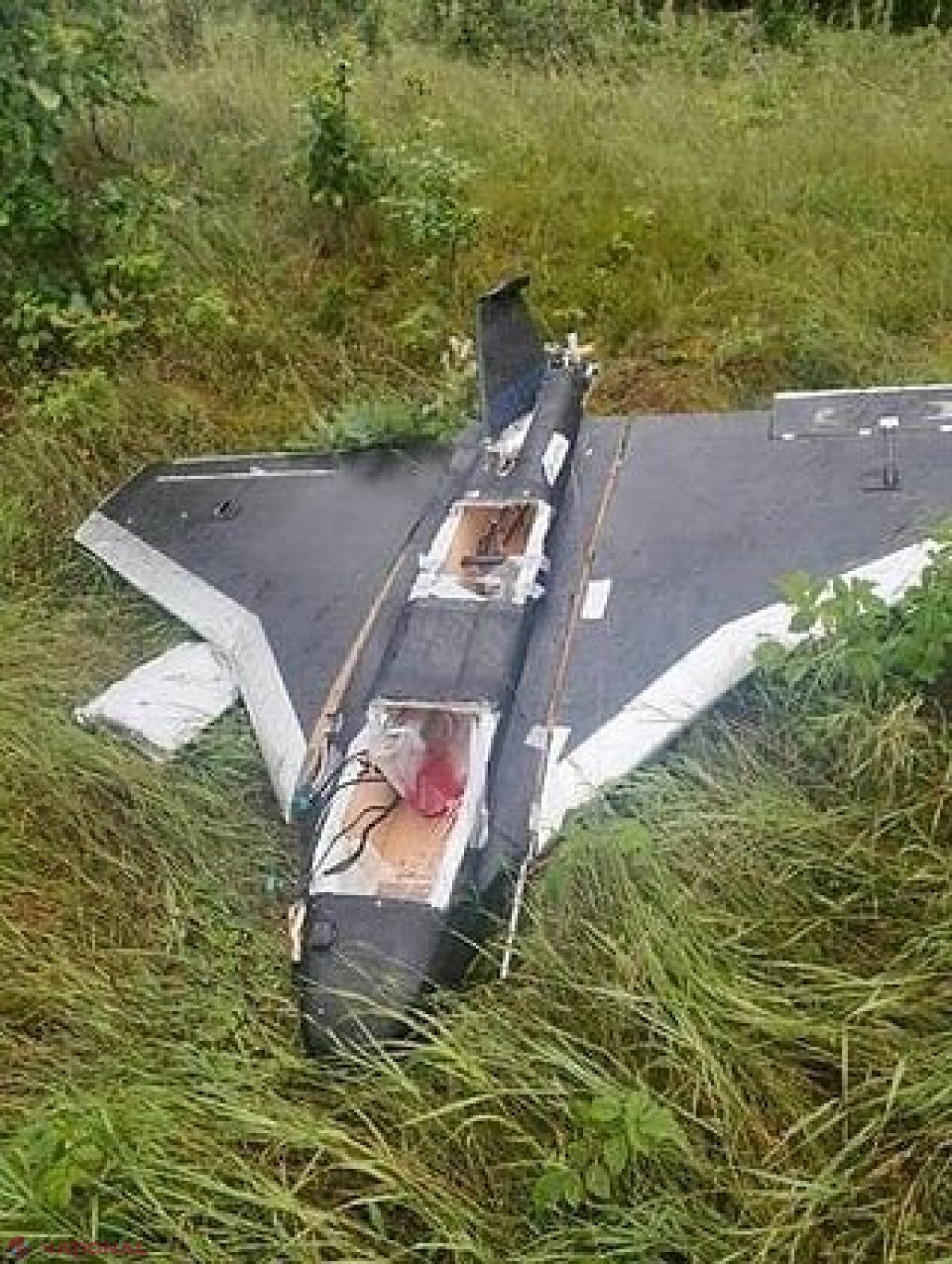 Lituania cere NATO întărirea apărării aeriene după descoperirea unei drone rusești cu explozibili pe teritoriul său
