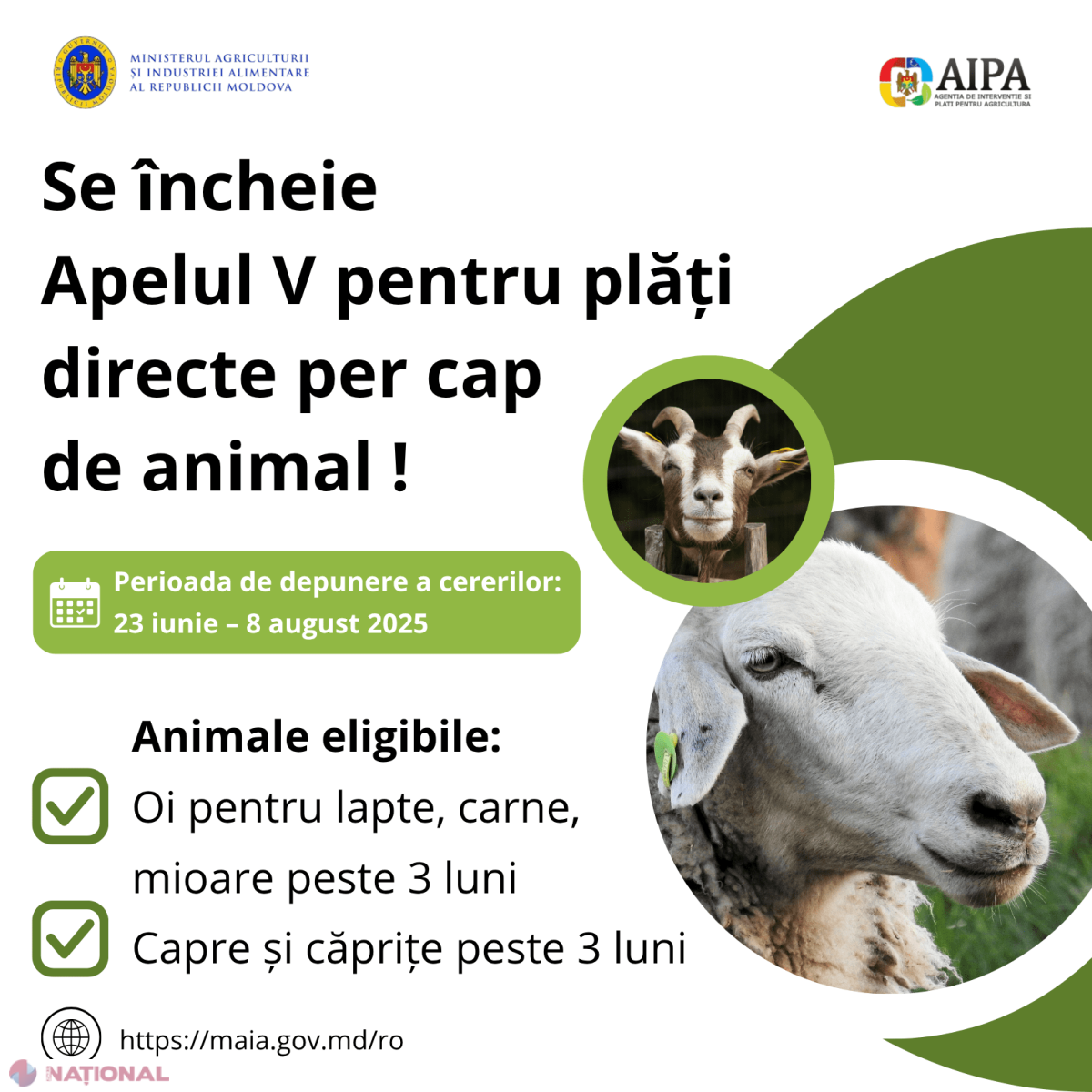 Ultima zi pentru depunerea cererilor de sprijin financiar pentru crescătorii de ovine și caprine!
