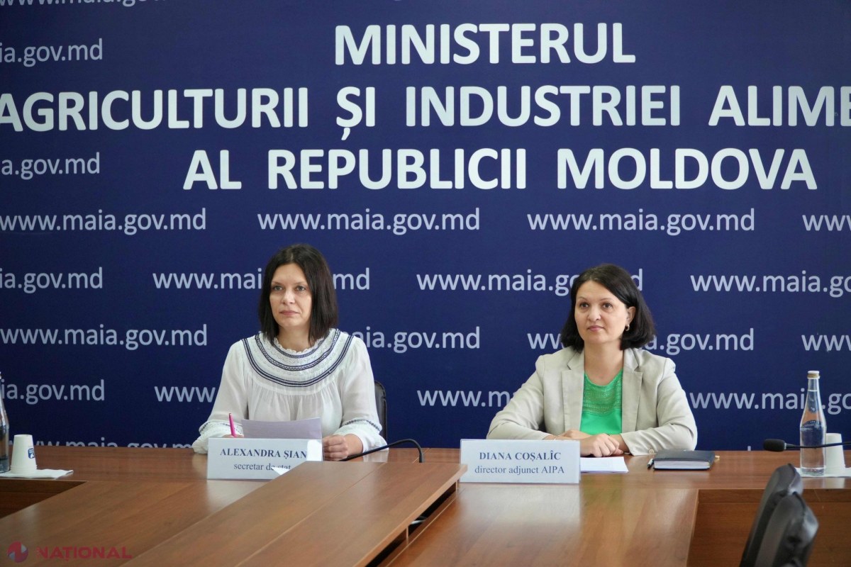 Crescătorii de ovine și caprine primesc sprijin financiar sporit: rezultate pozitive la apelul V și noi măsuri de susținere din 15 august