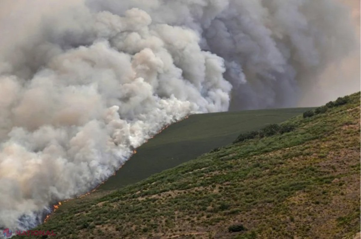 România pe locul trei în UE la suprafața arsă în urma incendiilor din 2025: Peste un milion de hectare devastate de flăcări în Europa