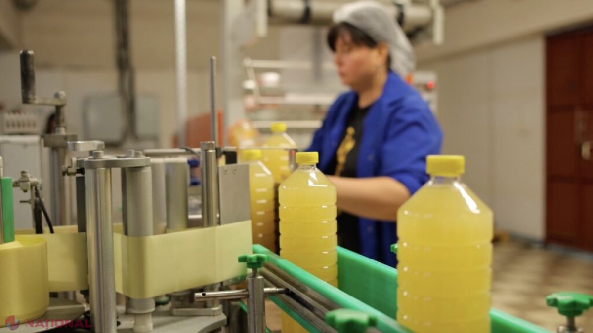 Borșul acru moldovenesc cucerește Europa: Povestea de succes a companiei Sadro-Ursu, lider în exporturi și inovație în UE